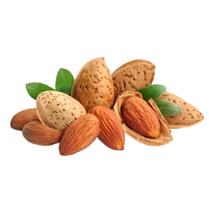 Almond
