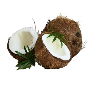 Coconut