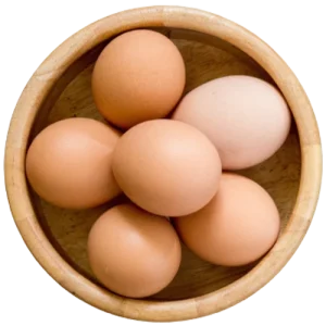 Egg