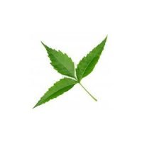 Neem Leaf