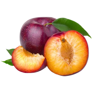 Plum