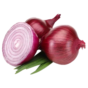 Onion